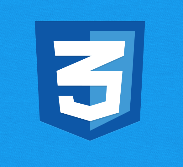 logo de CSS3